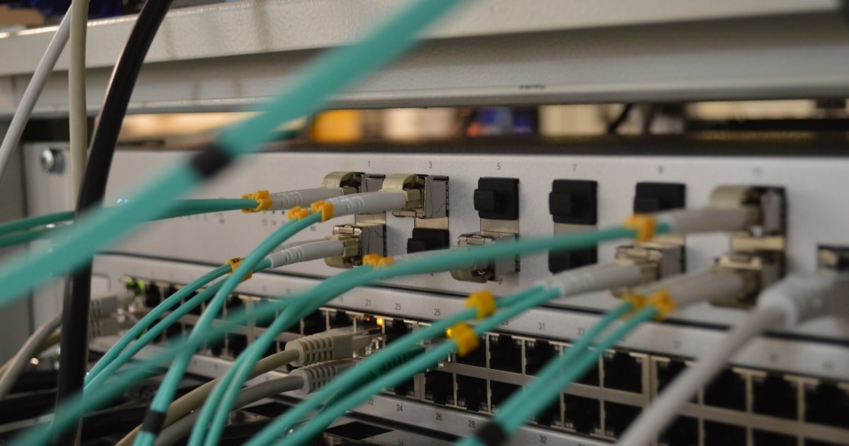 How to Back Up Your Forex Trading Data on a VPS