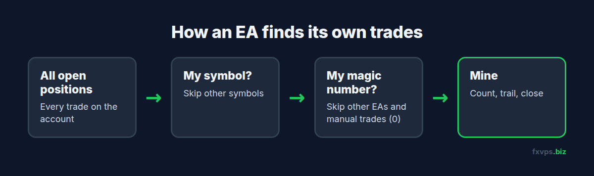 Flow showing how an EA uses the magic number to pick its own positions out of everything open on the account