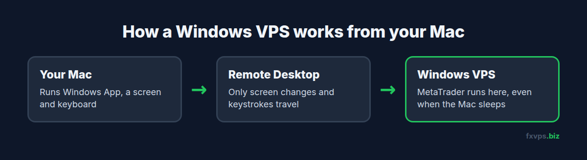 Flow from your Mac running Windows App, through Remote Desktop, to a Windows VPS where MetaTrader runs